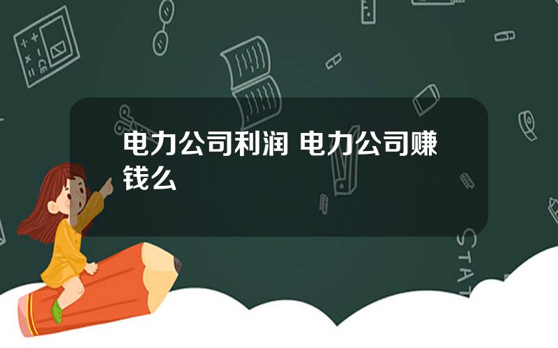 电力公司利润 电力公司赚钱么